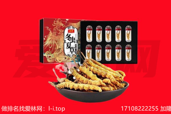 重庆大足区回收虫草.jpg